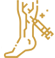 Varicose Veins 2