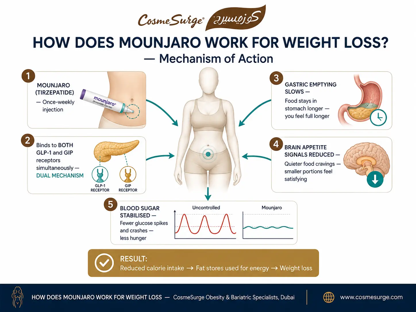 glp 1 mounjaro for weight loss GLP-1 Medications Explained: Who Should Consider Them and Why Is Mounjaro Used for Weight
